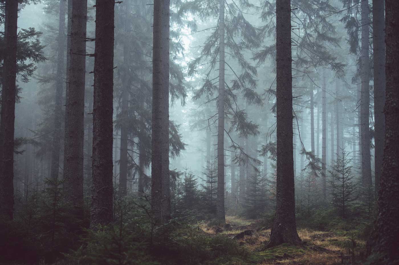 bestattungsarten